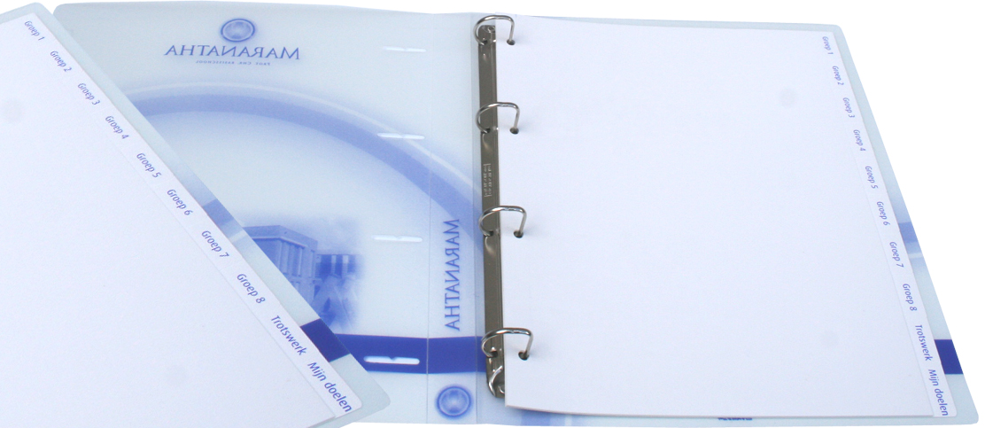 10-delige tabbladen wit, tekst blauw